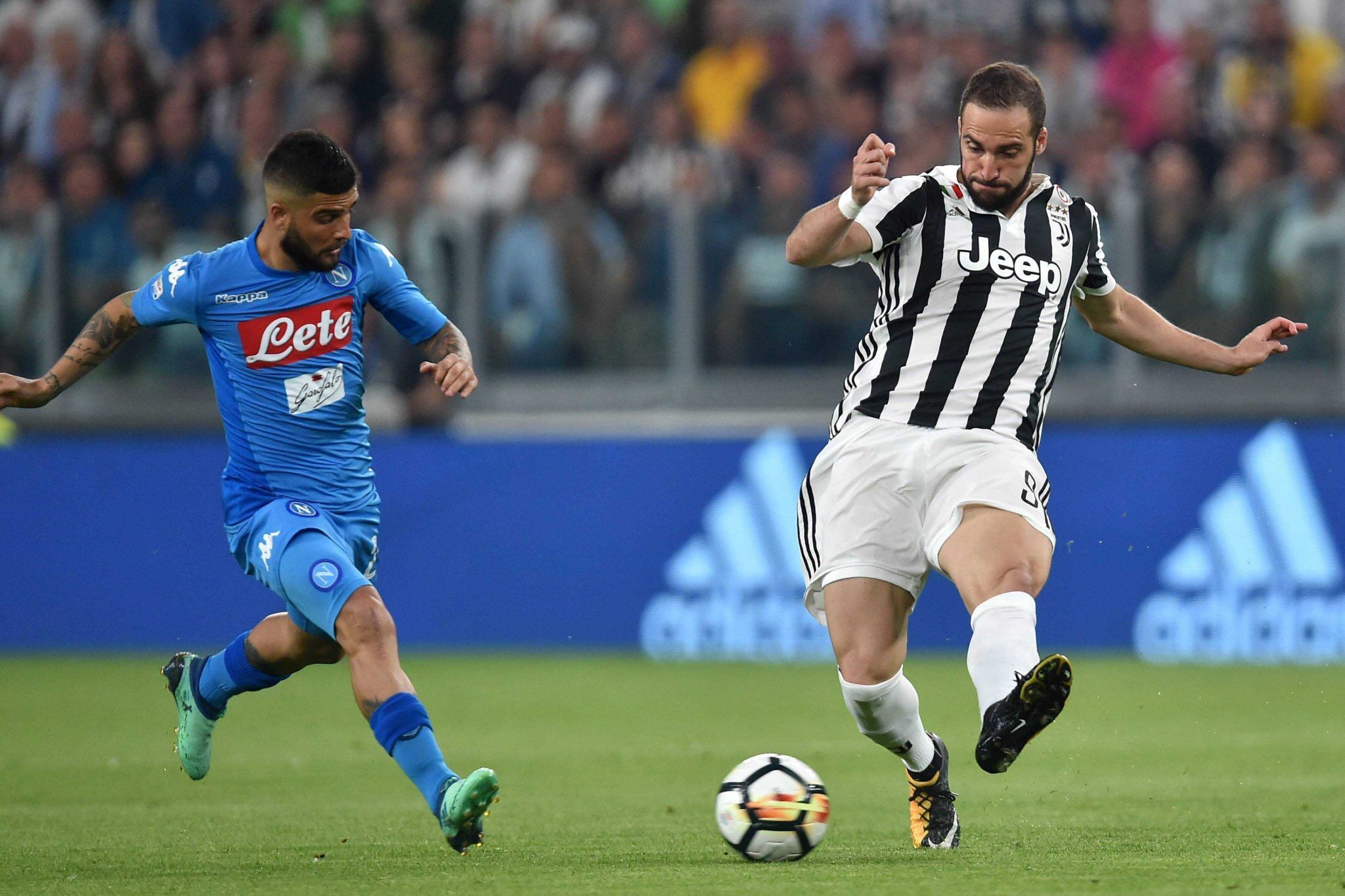 借助翔虫强 借助翔虫强